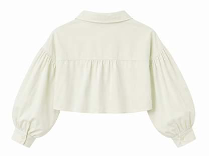 Ann Taylor Cropped Balloon Sleeve Shirt