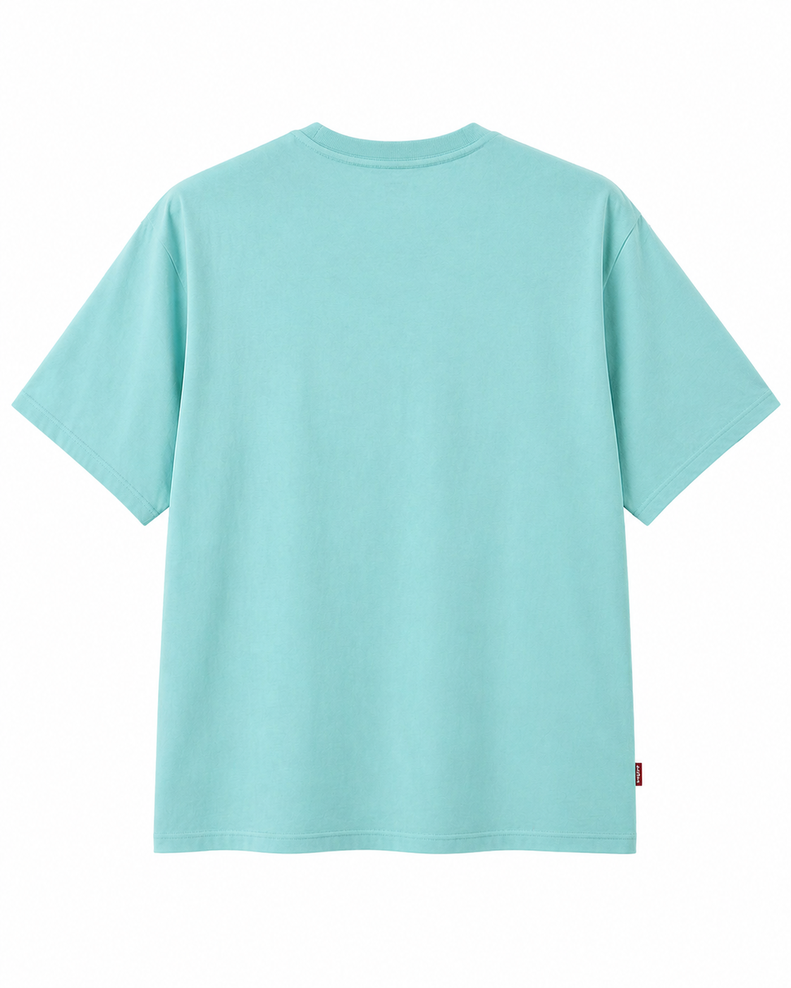 Levi’s Mint Green Logo T-Shirt (Classic Batwing)