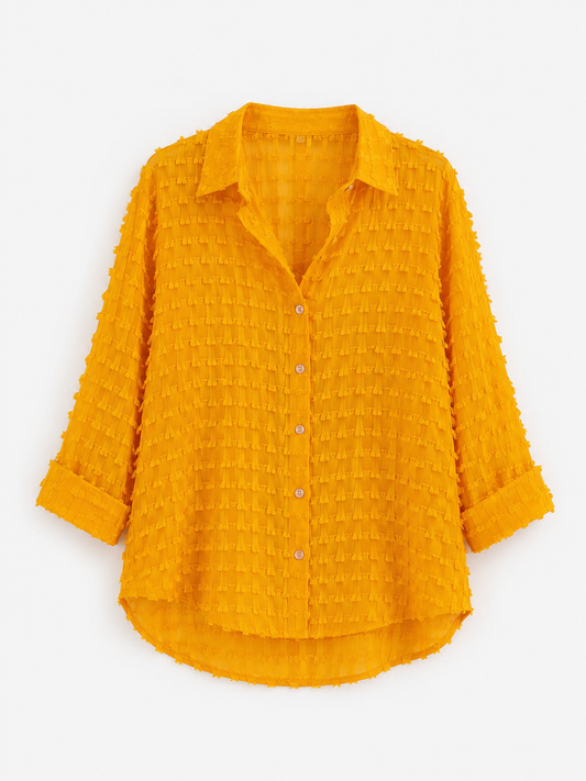 Zara – Textured Sheer Button-Up Shirt
