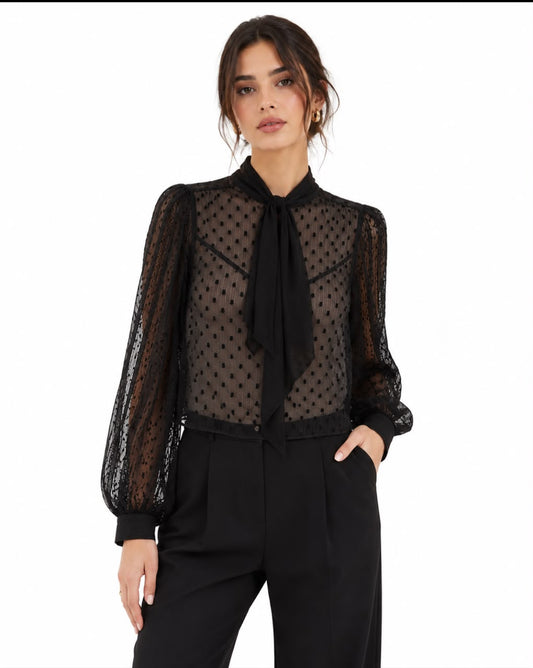Women's Sheer Dobby Mesh Blouse – Product Description