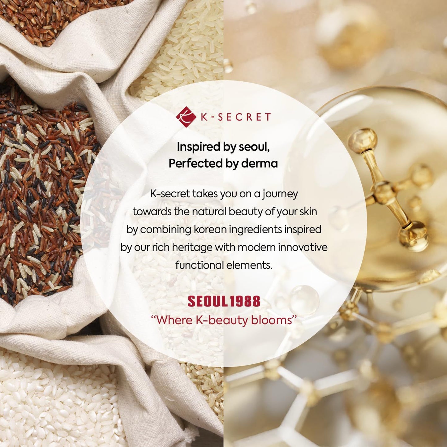 SEOUL 1988 Serum – Retinal Liposome 2% + Black Ginseng